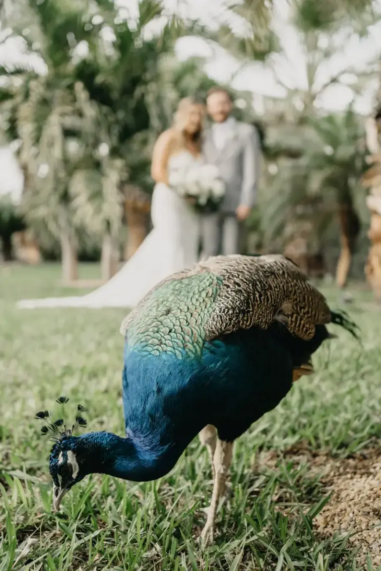Portrait of the couple at their destination wedding in Los Cabos