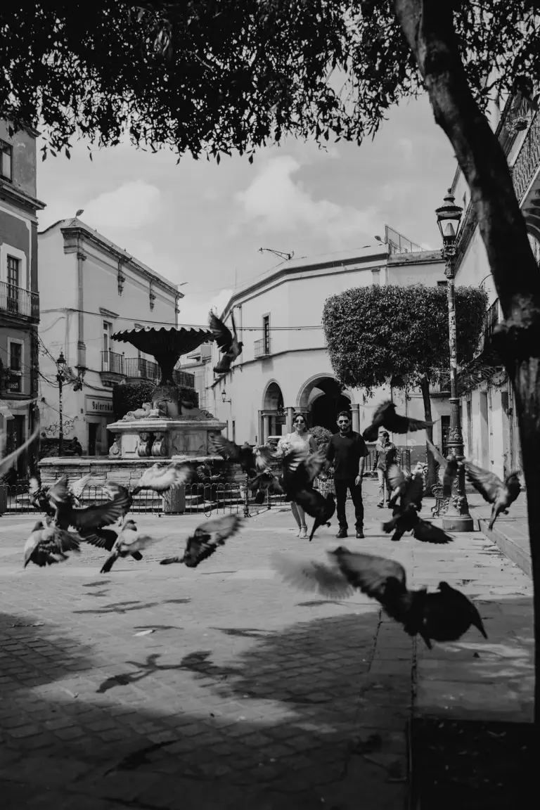 Sesión de compromiso en Guanajuato, palomas junto a la fuente en blanco y negro